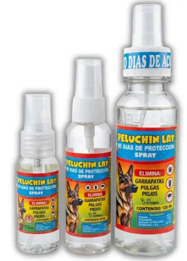 Peluchin Lay
