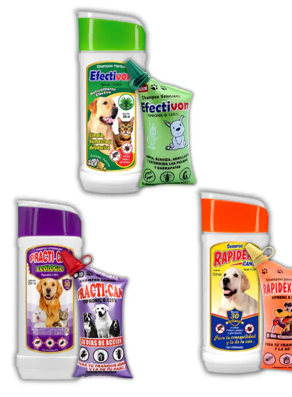 SHAMPOO FRASCO 250ML + COJIN