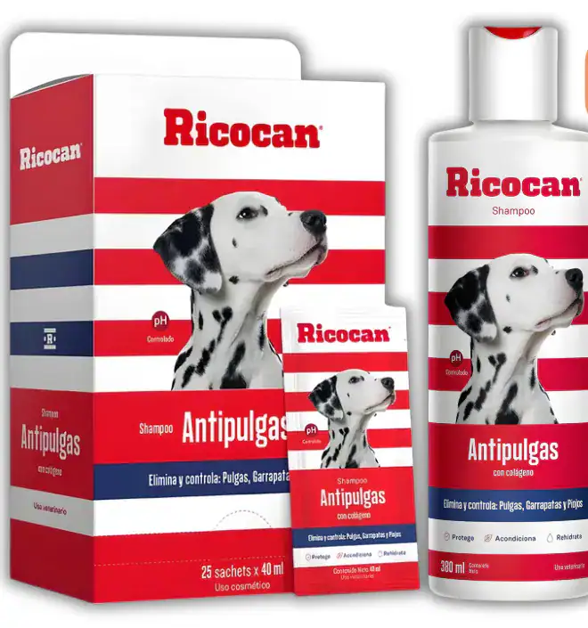 SHAMPOO RICOCAN ANTIPULGAS