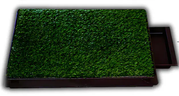 BAÑO CON GRASS Y BANDEJA NACIONAL