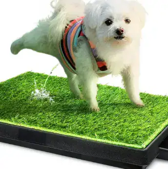 BAÑO RECTANGULAR CON BANDEJA Y GRASS