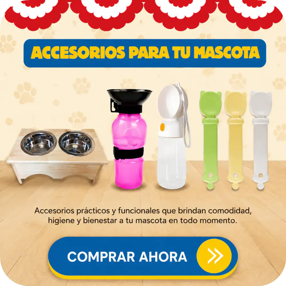 Accesorios
