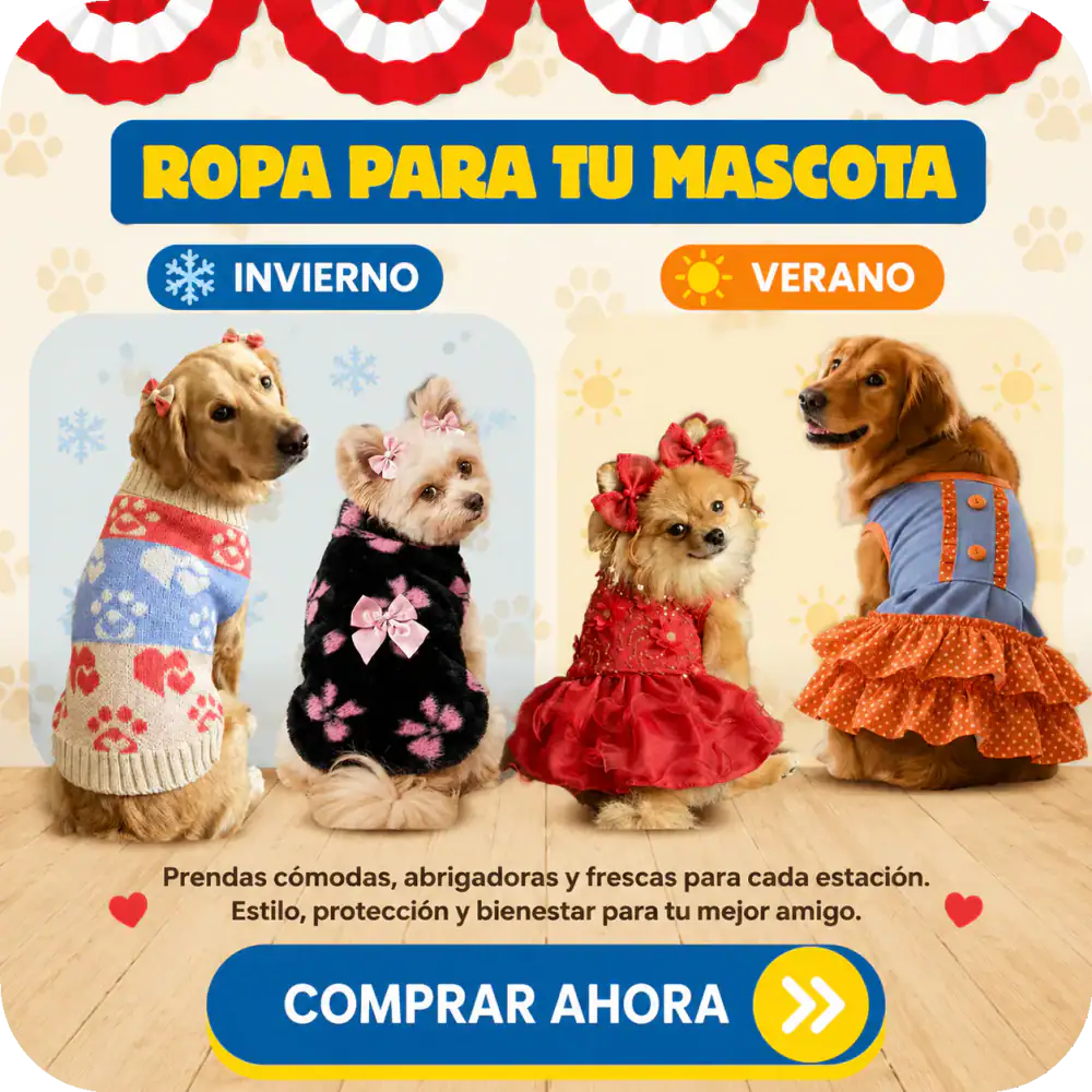 Ropa